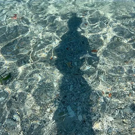 Gordon Πανσιόν Carini